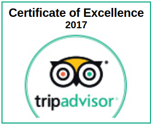 TripAdvisor